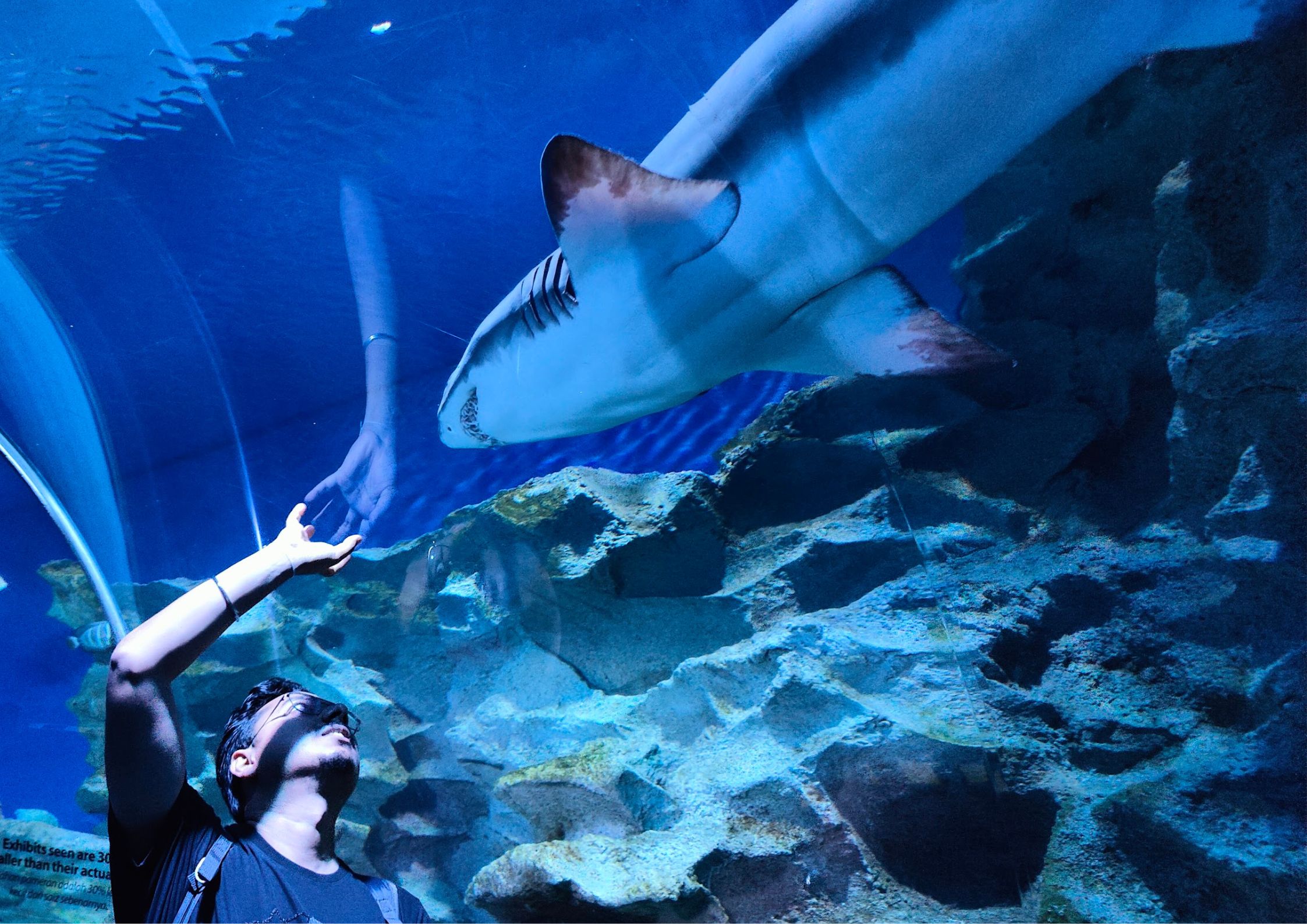 Aquaria KLCC - Must Watch RCKL Aquaria KLCC - Must Watch RCKL